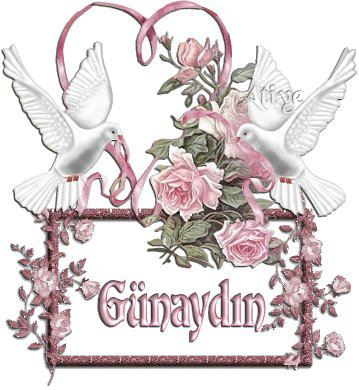 ★ *˛ ˚♥* ✰ GÜNAYDIN 。˚ ˚ღ。* ˛˚ ♥ 。✰˚* ˚ ★ღ ˚ 。✰ •* ˚ ♥