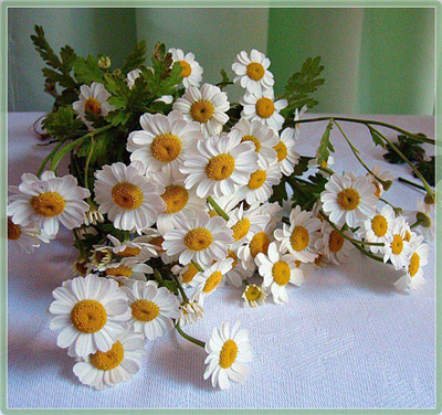 ♥♥♥ Saًğlığınız Ve Ne‏şeniz Daim Olsun. ♥♥♥ •╔════◄░❀░❉░░►════╗• ❉░........GÜNAYDIN.........░❉ •╚════◄░❀░❉░░►════╝•