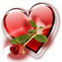 SEVGİ ♥