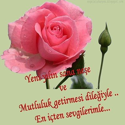 YENİ YILIN SANA MUTLULUK VE NEŞE GETİRMESİ DİLEĞİYLE...