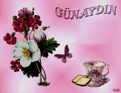 GÜNAYDIN