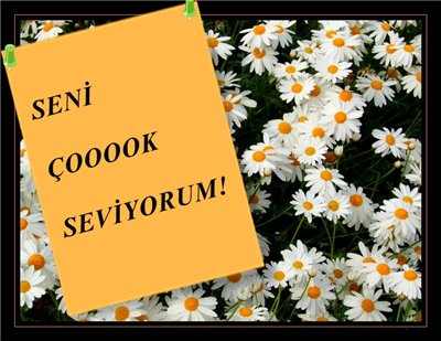 seni çok seviyorum!