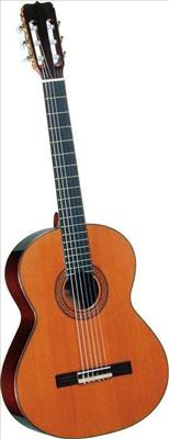 Spanish/Classical Guitar