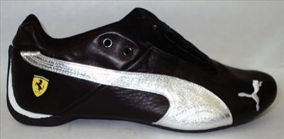 Puma 1