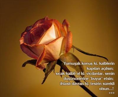 Gül 1