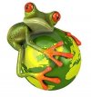 frog world