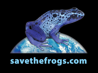 Save the frogs