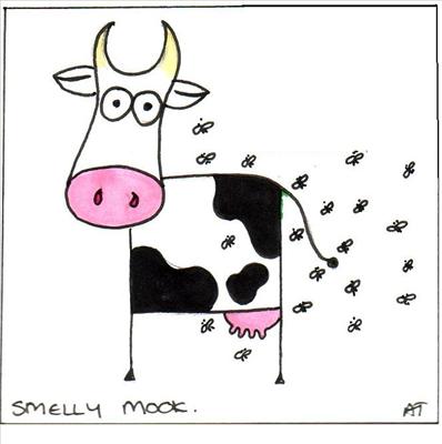 Smelly mook