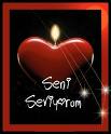 sevgi 1
