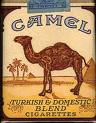 camel