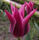 you be joyful 