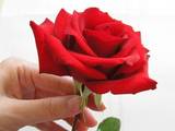 for u ^_^