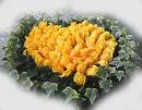 heart rose you