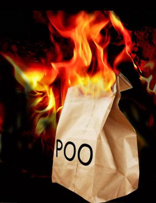 Flaming Bag of Poo