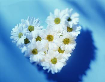 Daisy
