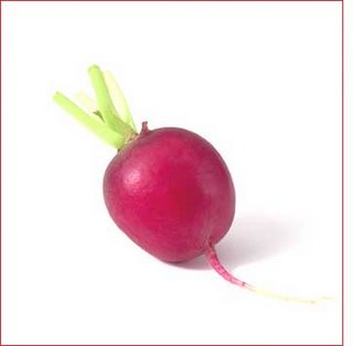 Turp