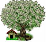 The Money Tree - I am open and receptive to unexpected financial bonuses.