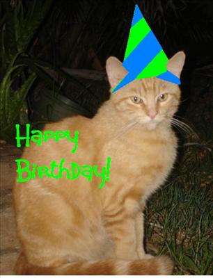 Happy Birthday kitty