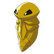 kakuna