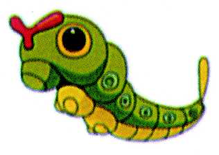 caterpie