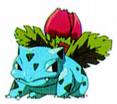 ivysaur