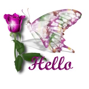 Papillon 25