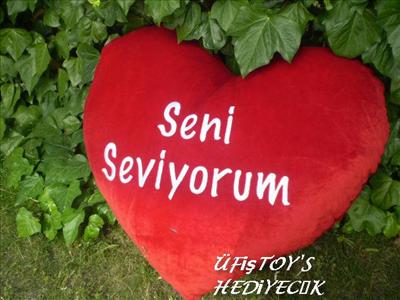 KALPLİ YASTIK2
