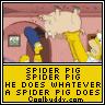 spider pig