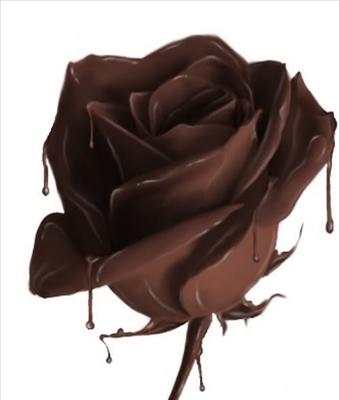 Rosa de chocolate