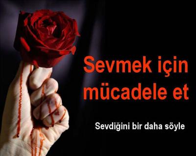 Sevmek İçin Mücadale Et...