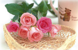 rose for you