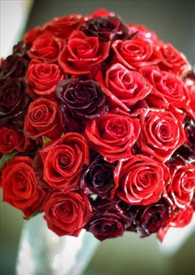 rose for you