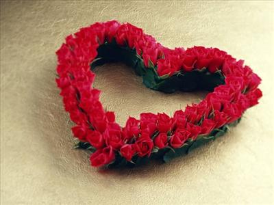 rose for you