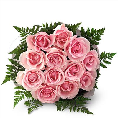 pinkrose