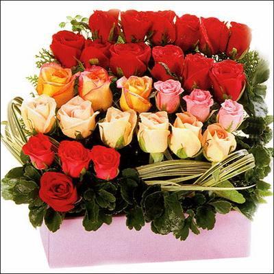 roses