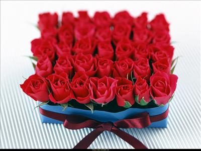 roses