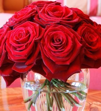 rose for you