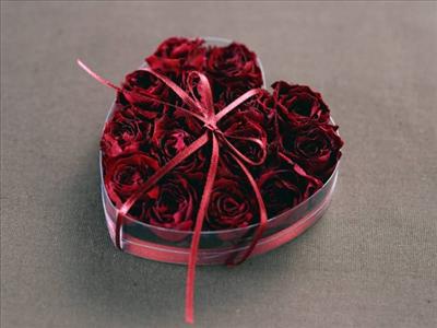 rose for you
