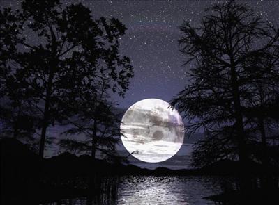20:00