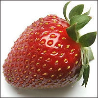 Çilek