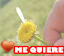 me quiere 
