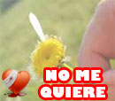 no me quiere