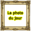 La photo du jour