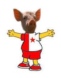 Slávista