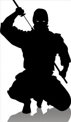 Ninjas!