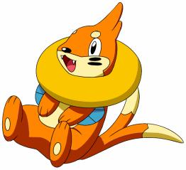Buizel