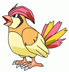 Pidgetotto