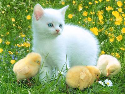 kötüsün demiyorum ama biraz daha çalışman gerektiğini düşünüyorum:=)