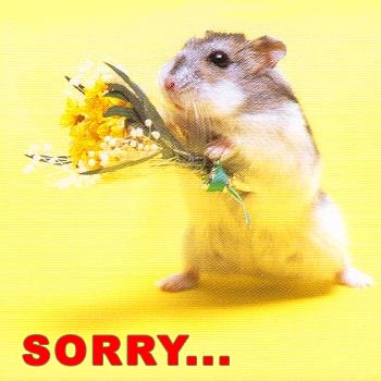 Sorry