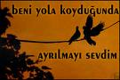 hiç sewmiyorum